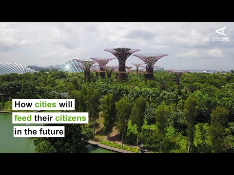 How cities will feed their citizens in the future