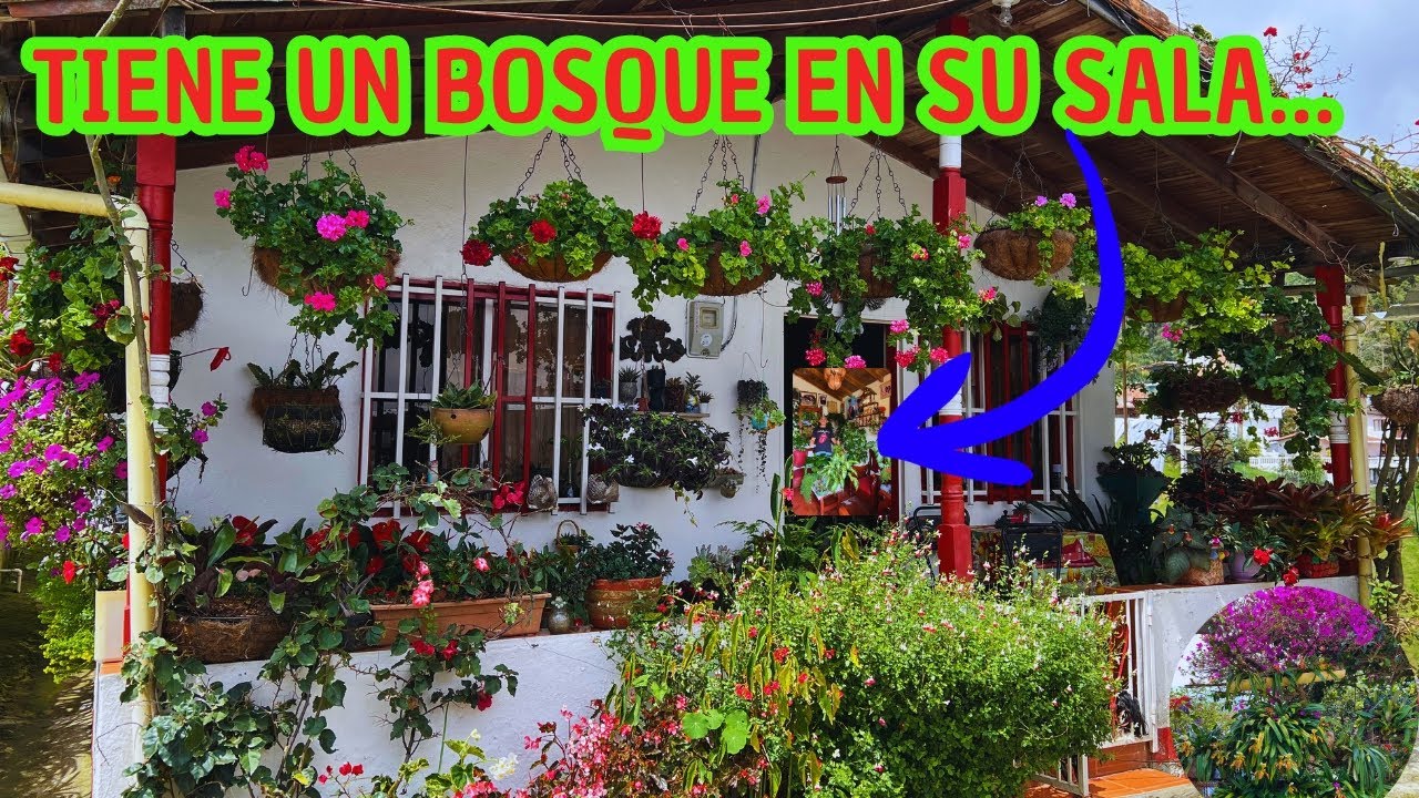 Ana dice que su JARDÍN no es tan bonito, ¿Qué opinas? TOUR de PLANTAS hermoso, te va SORPRENDER |AP