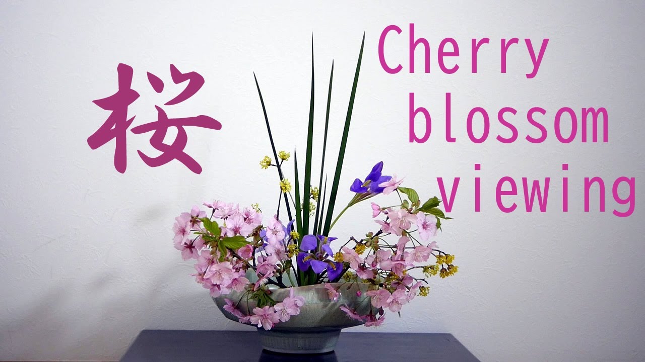 生け花 桜を使ってお花見気分 Ikebana Cherry Blossoms 櫻花盛開 Fleur De Cerisier Flor De Cerezo Kirschblute 벚꽃 自由花 Youtube