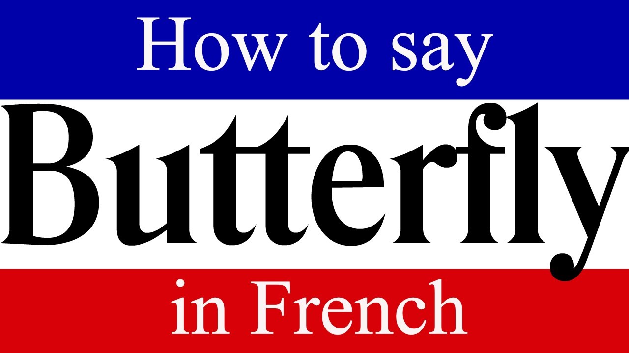 Learn French How To Say "Butterfly" in French French Language