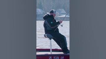 Vertical Jigging for Crappie #crappie #crappiefishing #tournamentfishing #livescope #jigging