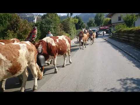 Tyrolsko