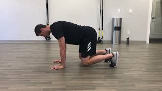 DA Scap Protraction | Bear Position