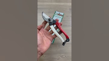 Cắt cành Okatsune 18cm #0376628645 @dungcubonsaihaidu #hàngnhậtbãi #kéocắtcành #hàngbãinhật #reels