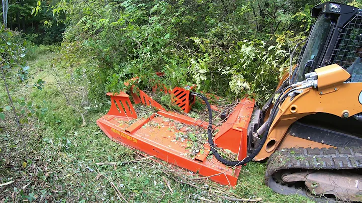 Mowing an overgrown field
