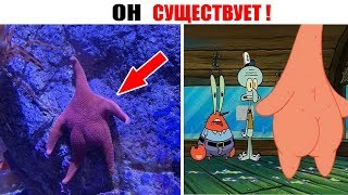 Лютые приколы . ОН СУЩЕСТВУЕТ.Угарные мемы Лютые приколы . ОН СУЩЕСТВУЕТ.Угарные мемы