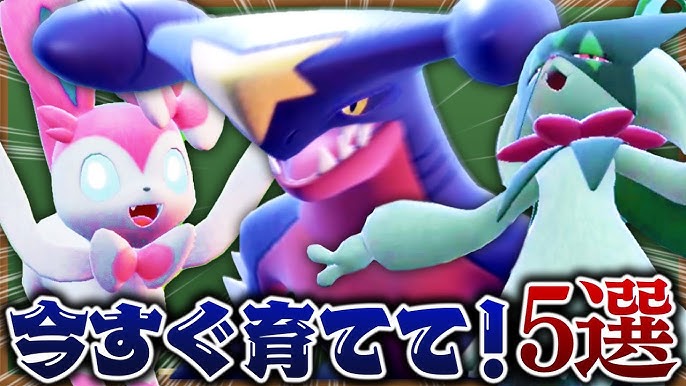 ポケモン育成論 迷ったら育てるべきポケモン達の努力値 技 持ち物を徹底解説 テラスタルの選び方も ビエラ ポケモンsv スカーレット バイオレット ダブルバトル 初心者講座 Youtube