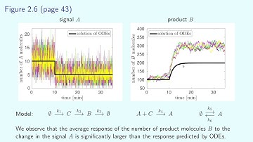 Lecture 6 (Stochastic Modelling of Biological Processes)