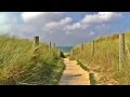 Boardwalk To The Beach