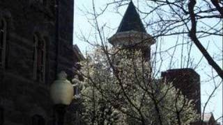 My GAAP Weekend - March 2007