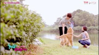 Lovely Day - Full house Thai version : วุ่นนักรักเต็มบ้าน