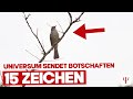 Unglaublich - SO sendet DIR das Universum interessante Botschaften!