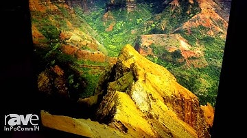 InfoComm 2014: NEC Displays the X981UHD