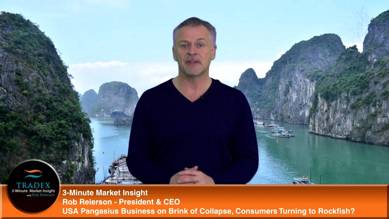 3-Minute Market Insight - USA Pangasius Business on Brink of Collapse, Turning to Rockfish?