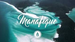 Best Of 2020 | A Manafique Mix