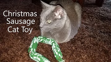 Cat Plays with Christmas Sausage Catnip Toy - Jericho