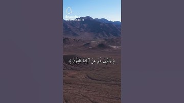 القرآن الكريم كلام مؤثر جدا 🥺❤️ #القرآن_الكريم #راحة_نفسية #تلاوة_خاشعة #ماشاءالله