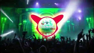 Ae Wo Bilai Turi Durug Wali || Holi Mix || Dj Dhammu_Raipur