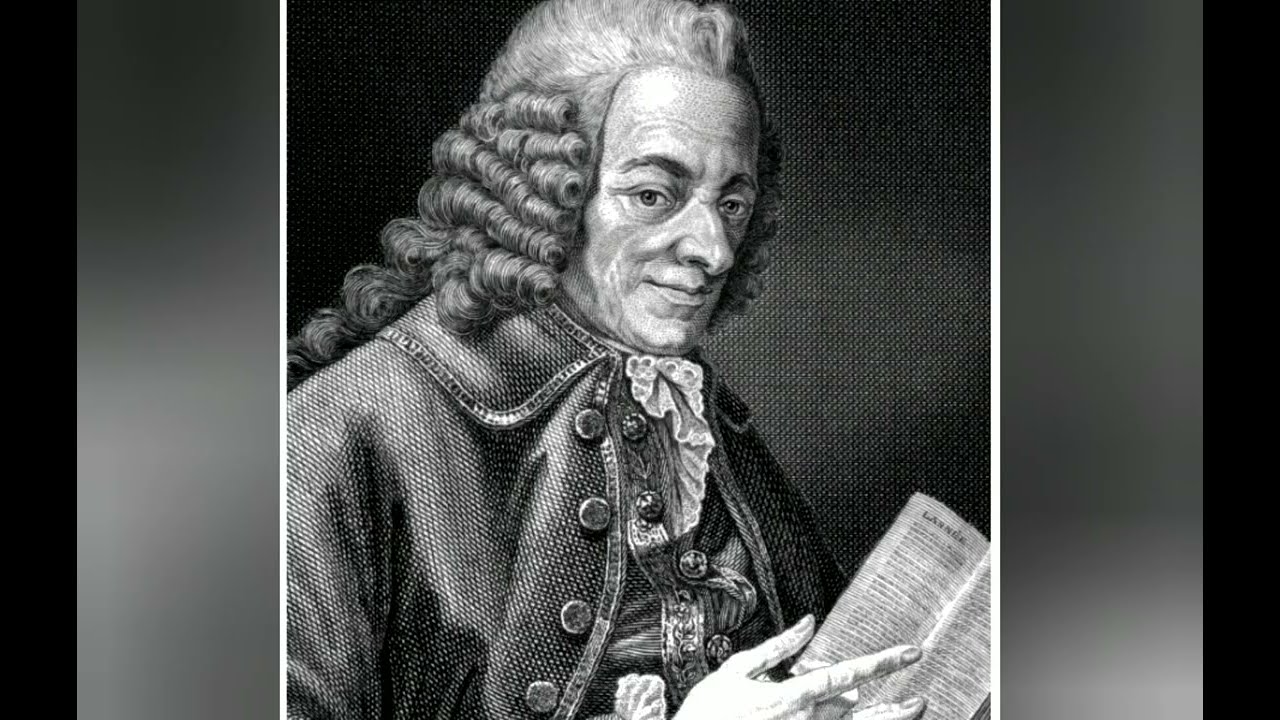 Voltaire The Philosopher Who Challenged Injustice and Changed History!