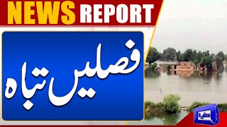 Sutlej River Flood Update, Crops Were Destroyed | Dunya News