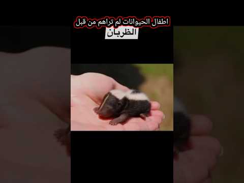 شاهد أغرب مواليد الحيوانات على الأرض العدد 4 سيصعقك الحيوانات حقائق صغار 