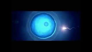 Melanin, Fluoride and the Pineal Gland(Introductory music, 