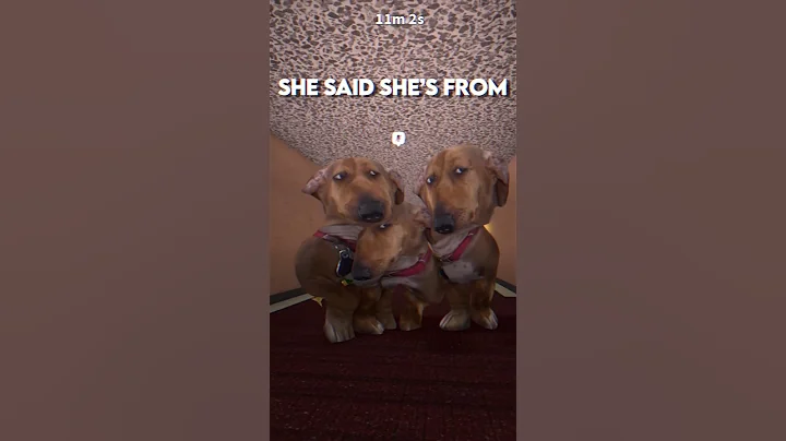 She Said She’s From the Islands Matching Trend with my BFFs!!