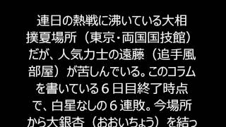 大相撲夏場所強行出場の遠藤、悪化しないことを願うばかり 公傷制度の改正復活も 大相撲夏場所強行出場の遠藤、悪化しないことを願うばかり 公傷制度の改正復活も