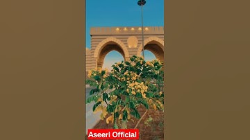 #saudi #saudiarabia#quran #beautifulvoice#tilawat#awaaz #aseeri_official#aseeri #تلاوات #تلاوة_هادئة