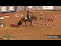 A Judge's Perspective: 2017 AQHA Select Trail World Champion