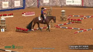 A Judge's Perspective: 2017 AQHA Select Trail World Champion