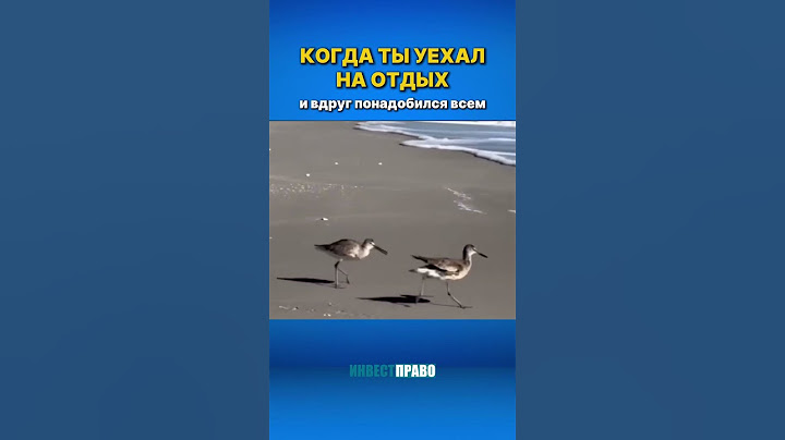 ГЛАВНОЕ, ЧТОБЫ НЕ ДОГНАЛ 😆