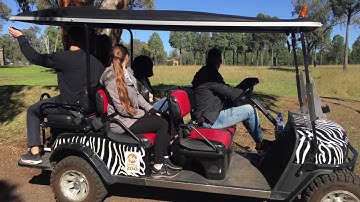 In the Jungle the Mighty Jungle (HD)