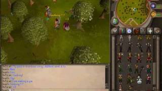 runescape 508 privite sever skillcape