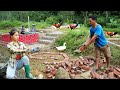 From Concrete to Nature: Building a Heart-Shaped Tank in the Forest