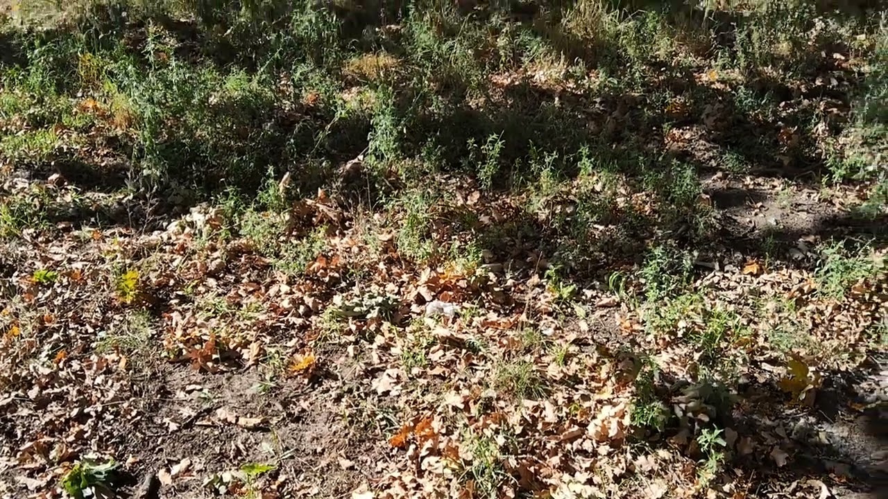 Wir hatten ein sehr schönes Reborn treffen  (unbezahltes Werbevideo) 