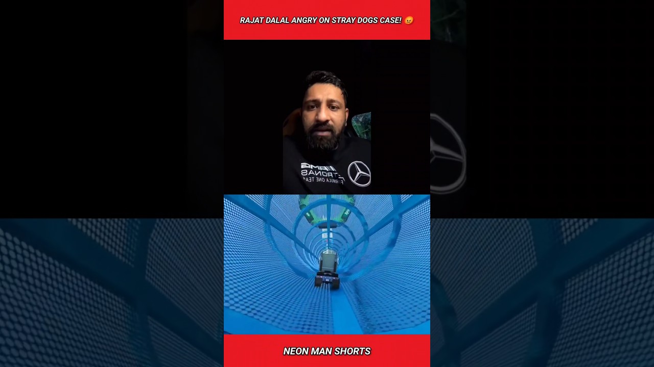 Rajat Dalal Angry on Stray Dogs Case! 😡 