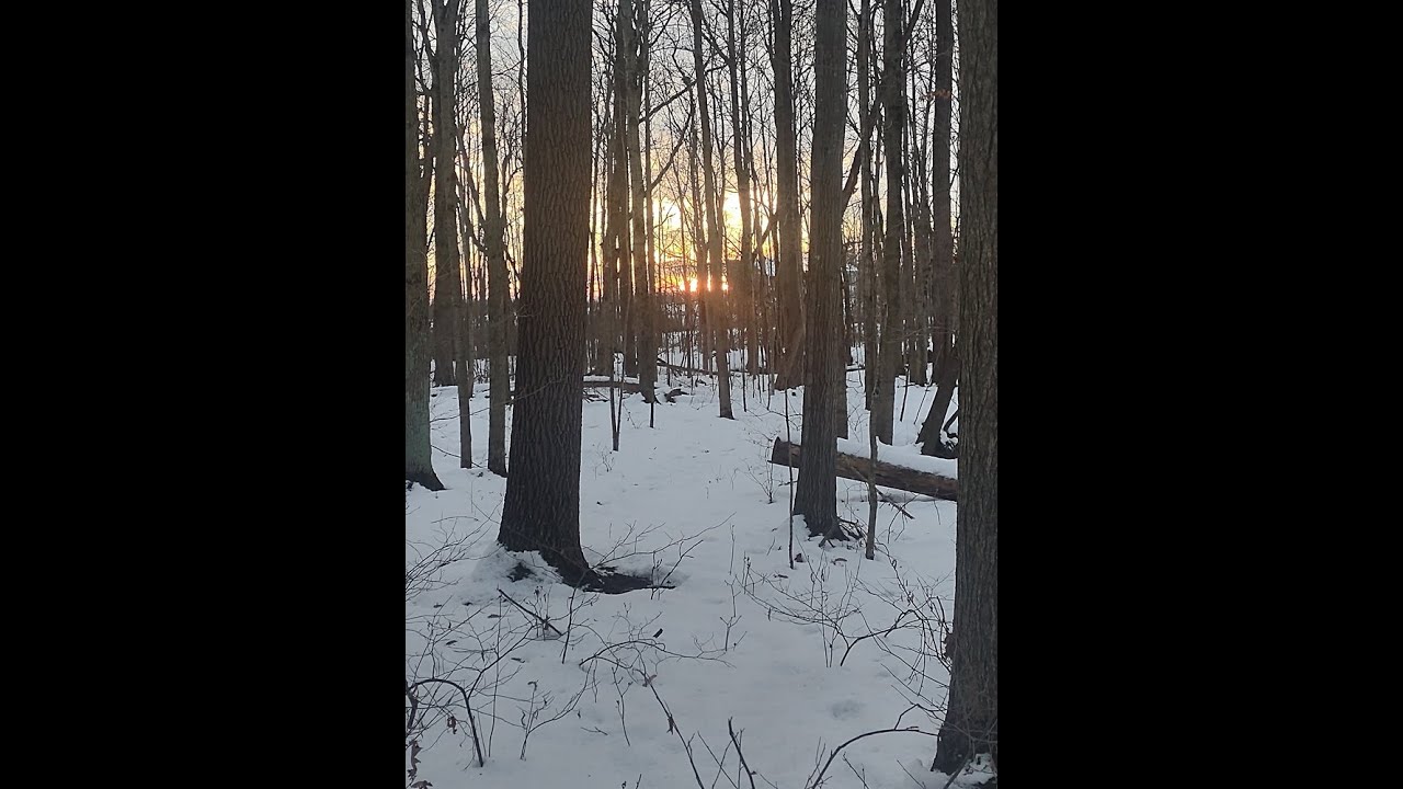 Next Turn Outdoors Fall 2025 Trail Cam.