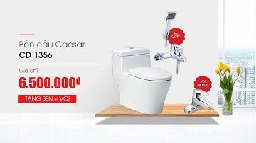 Mua 1 được 3 với mã bồn cầu Caesar CD1356