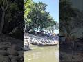 Biswanath Ghat Shiv Mandir Assam | Shiva Bhajan at Biswanath Chariali Assam #shorts