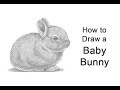 How to draw a rabbit baby