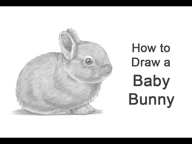 I've Always Wanted A Bunny Rabbit - Doodlewash®