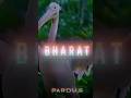 Indian Supremacy | Edits #phonk #edit #slowed #quitezy #india