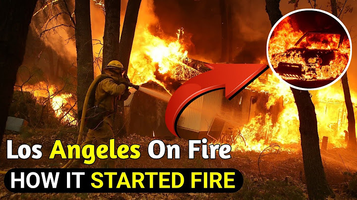 How the LA wildfires unfolded and what’s needed for recovery | Story narrow News