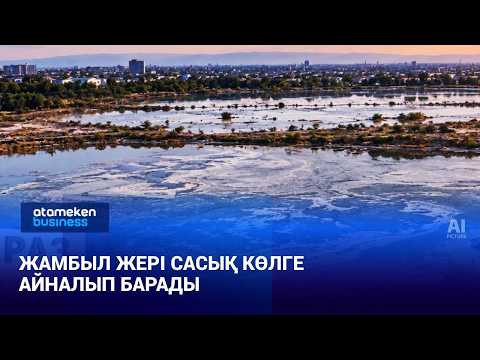 Жамбыл жері сасық көлге айналып барады