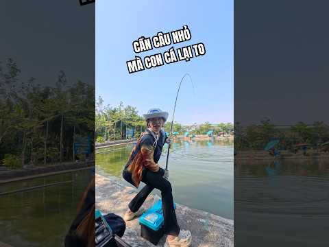 Câu cần tay lên cá dồ đém to quá luôn #vyhanfishing #fishing #cancautay