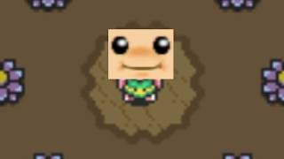 A BUP to the Past BUPPY Link