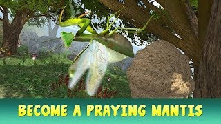 Mantis Insect Life Simulator-Богомол Жизнь Hасекомых-By Virtual Animals World-Android screenshot 2