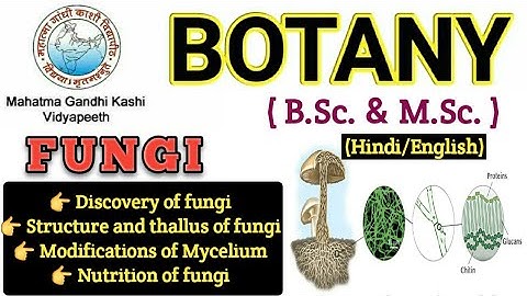 General Characteristics of Fungi/Mycelium/Hyphae/ Modification of Mycelium/BSc 1st year Botany/Fungi