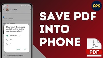 How to save WhatsApp pdf into phone gallery ?